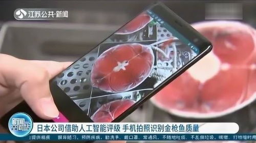 日本公司研發(fā)人工智能評(píng)級(jí)系統(tǒng) 用手機(jī)拍照識(shí)別金槍魚(yú)質(zhì)量，引領(lǐng)AI應(yīng)用軟件開(kāi)發(fā)新浪潮
